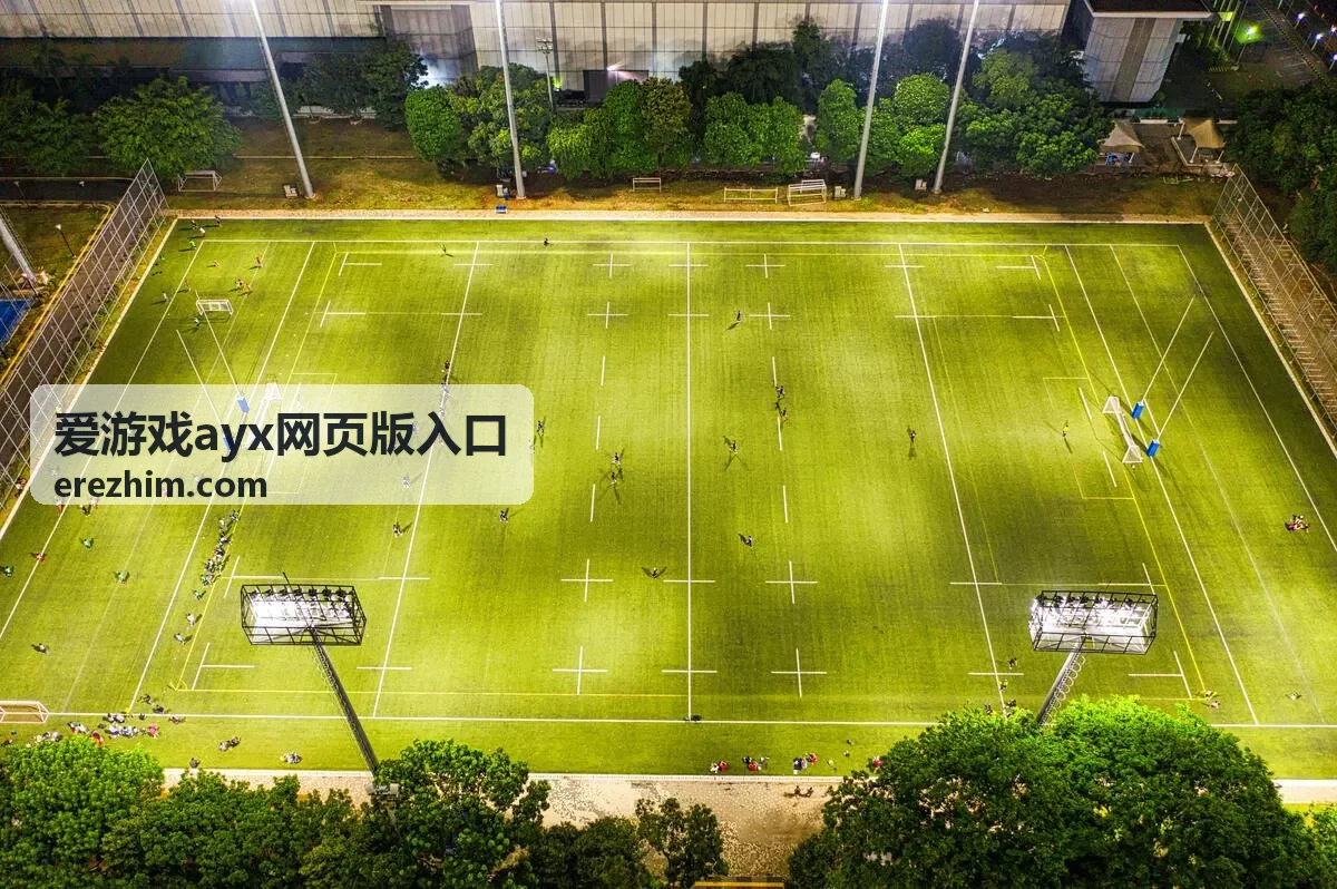 爱游戏ayx网页版入口登录界面示意