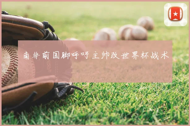 南非前国脚呼吁主帅改世界杯战术